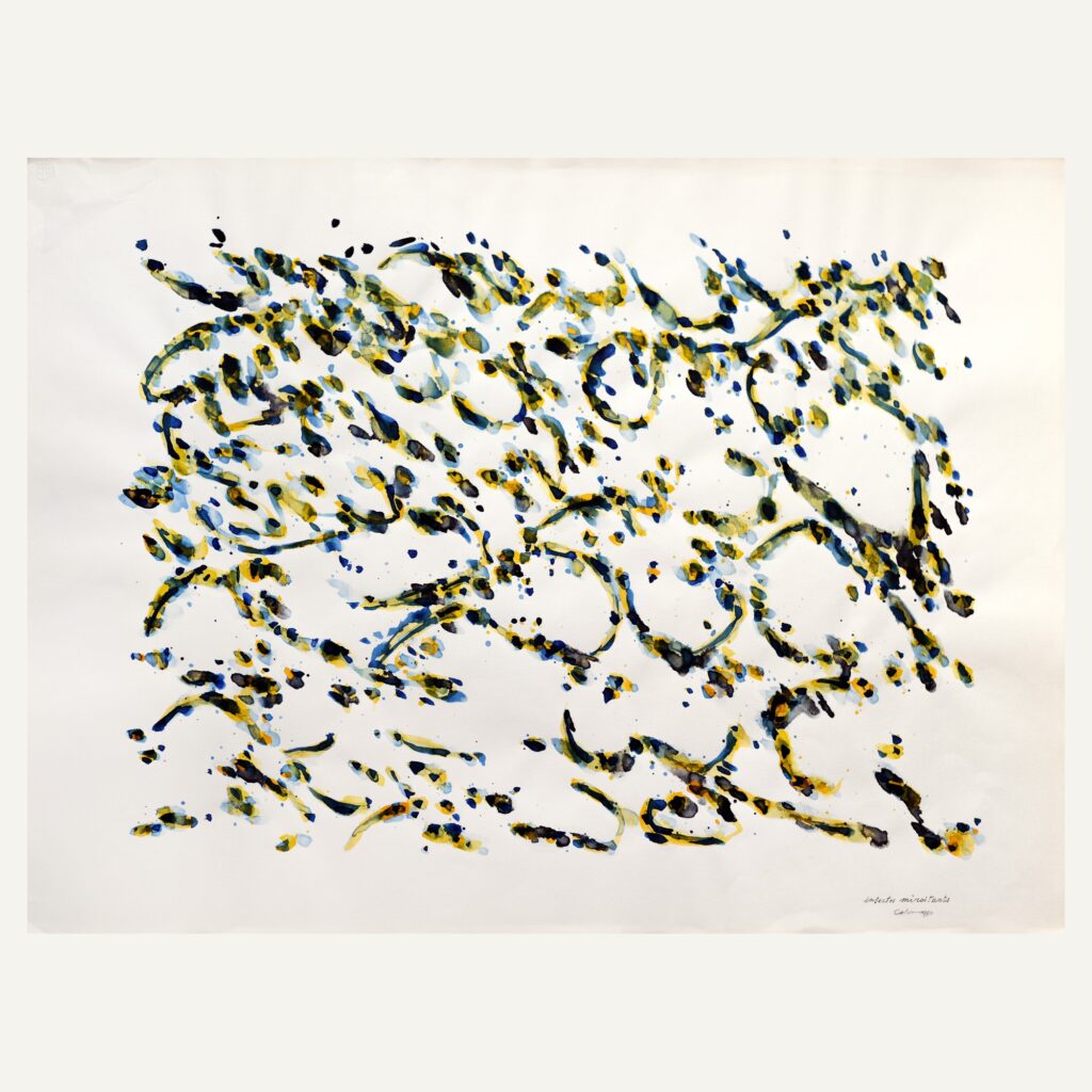 Insectes miroitants