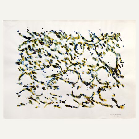 Insectes miroitants
