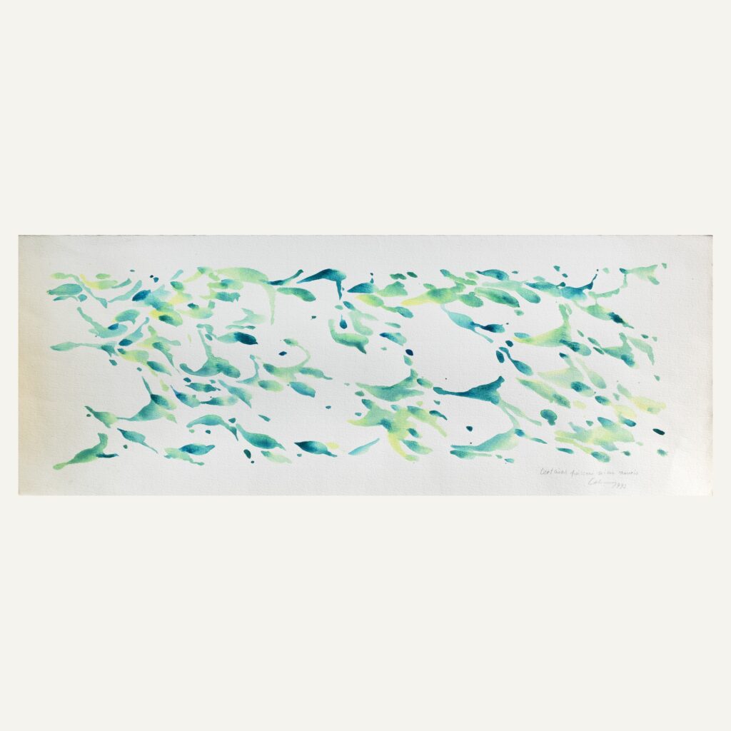 Certains poissons mieux nourris