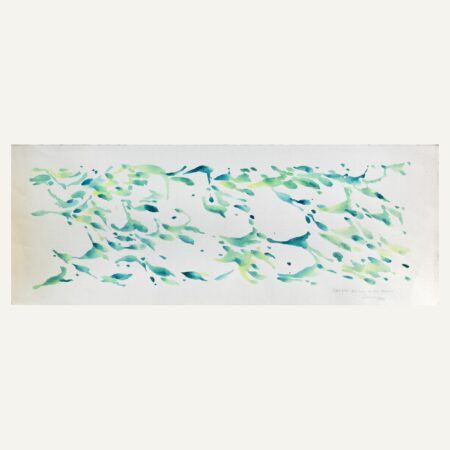 Certains poissons mieux nourris
