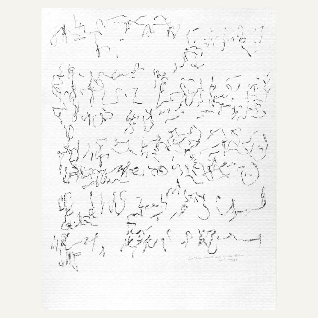 Certains mots comme des lettres
