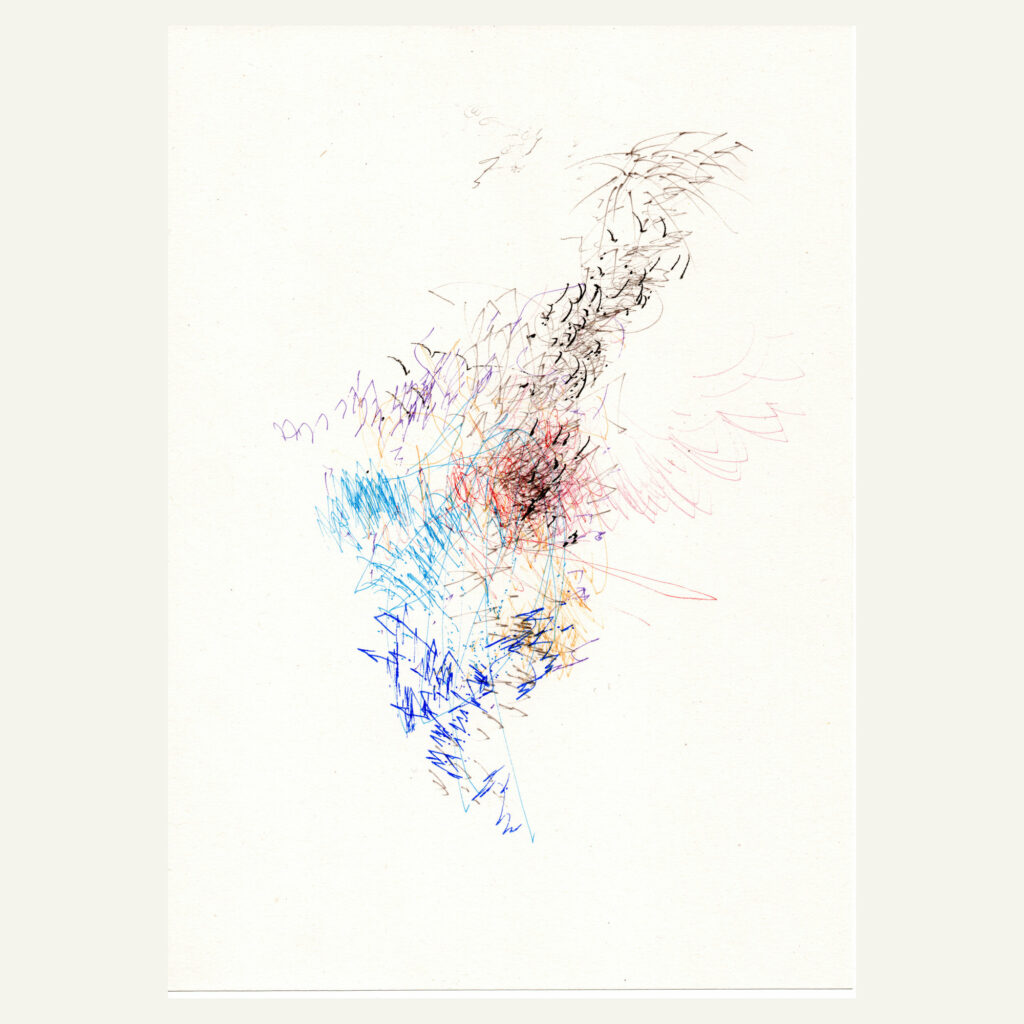 Murmuration du jour