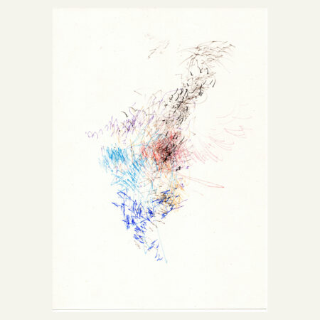 Murmuration du jour