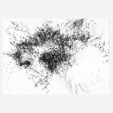 Murmuration du soir